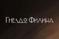 Гнездо филина